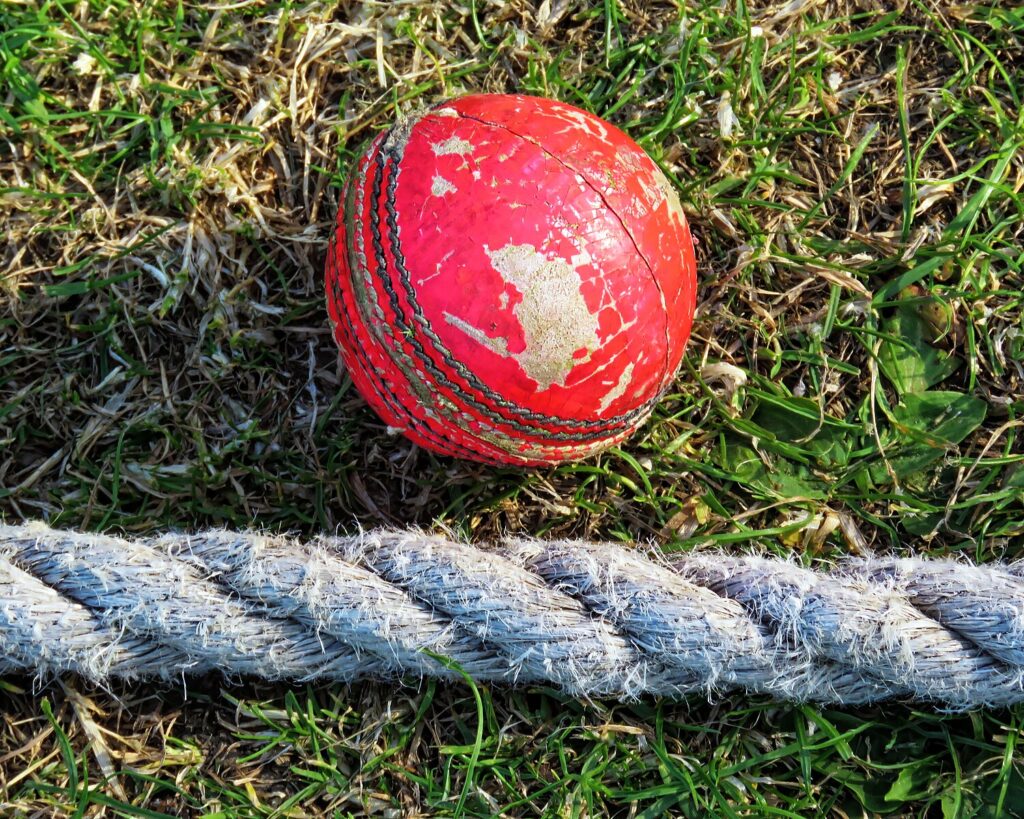 cricket boundary and ball